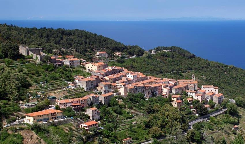 immagine annuncio 7 di 8