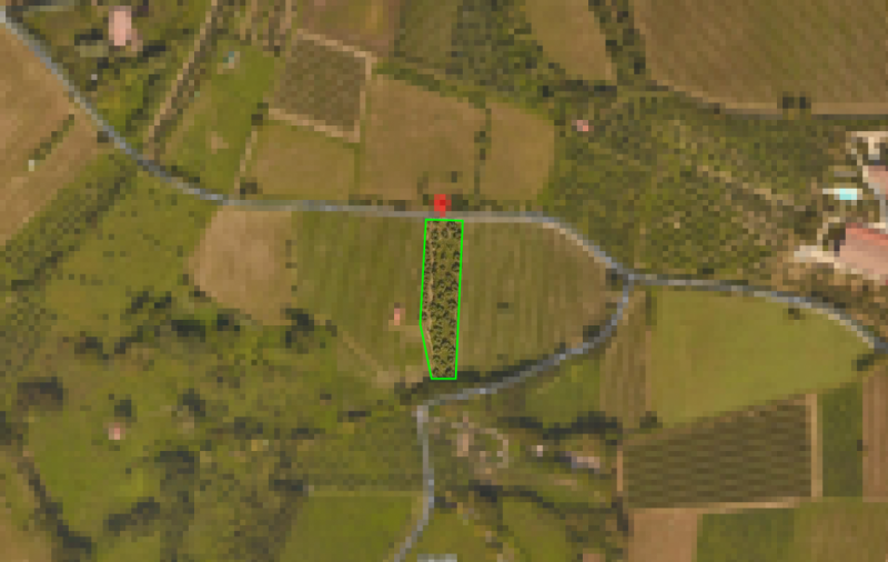 immagine annuncio 3 di 10