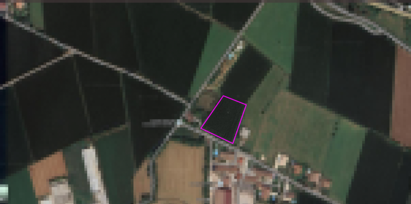 immagine annuncio 4 di 10