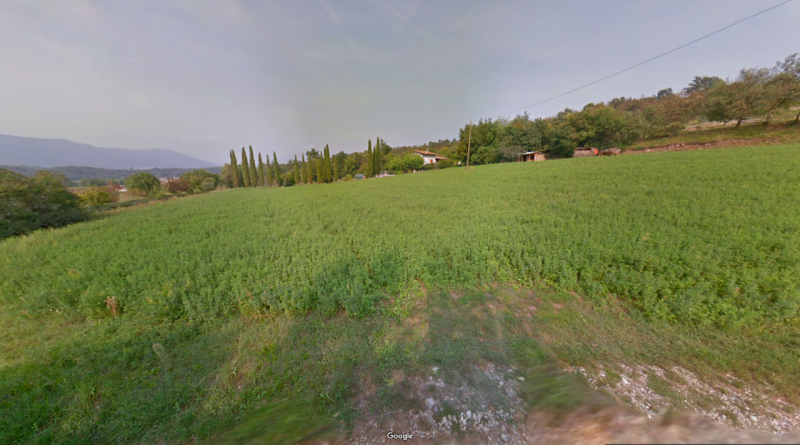 immagine annuncio 6 di 10
