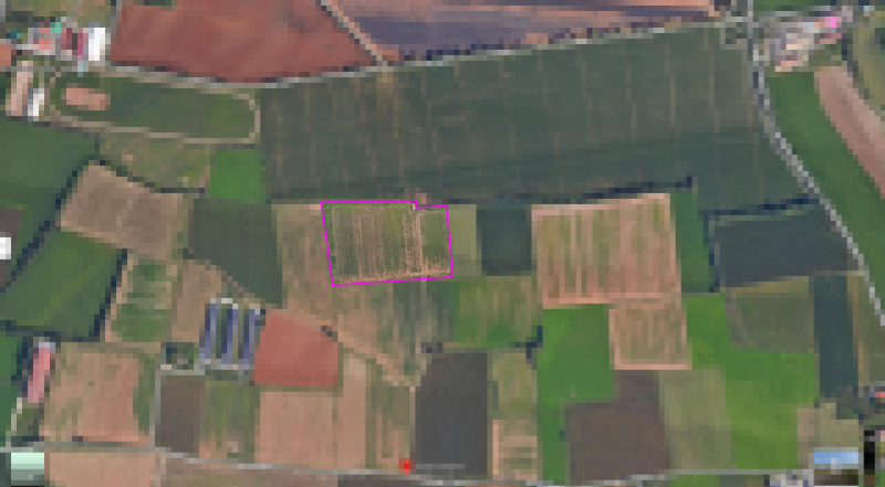 immagine annuncio 5 di 7