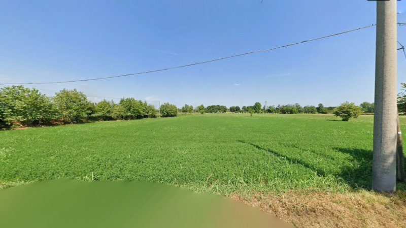 immagine annuncio 3 di 8