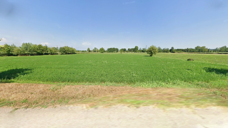 immagine annuncio 5 di 8