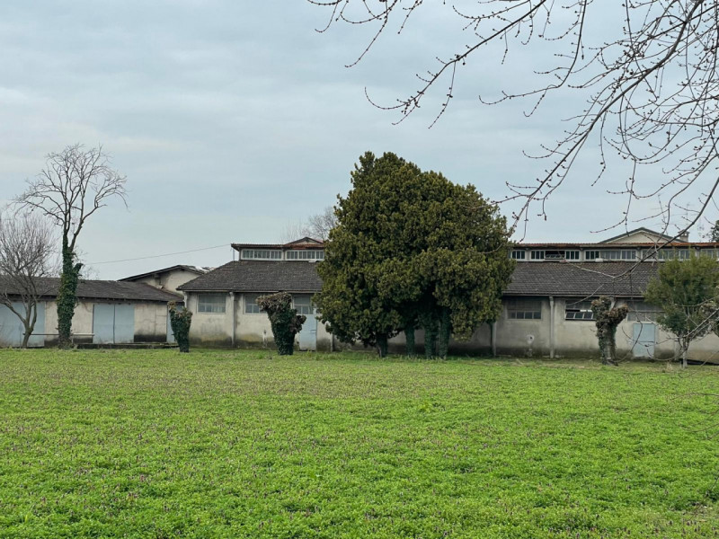 immagine annuncio 3 di 10