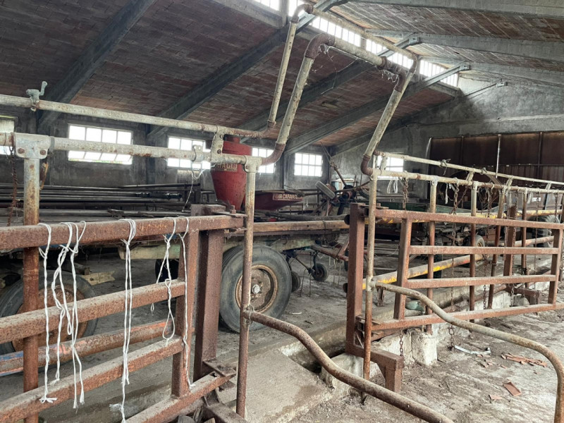 immagine annuncio 4 di 10