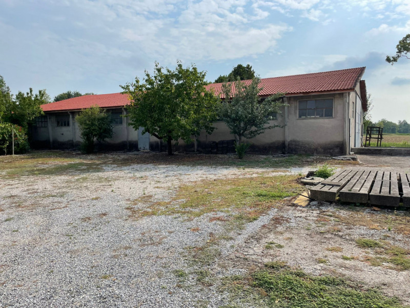 immagine annuncio 6 di 10