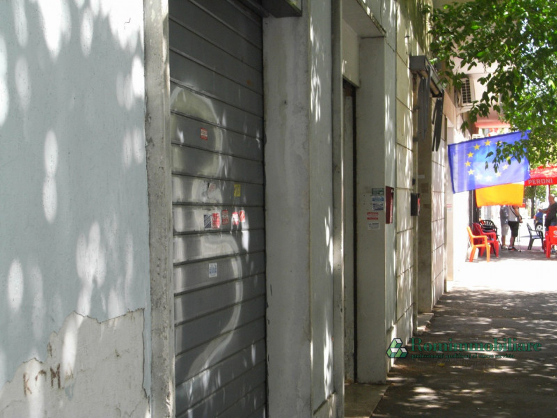 immagine annuncio 4 di 8