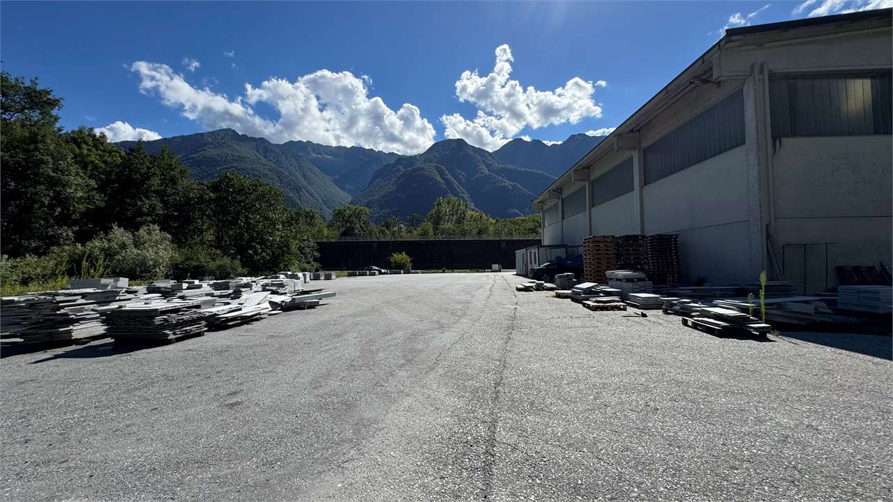 immagine annuncio 1 di 10