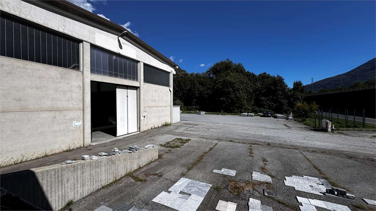 immagine annuncio 5 di 10