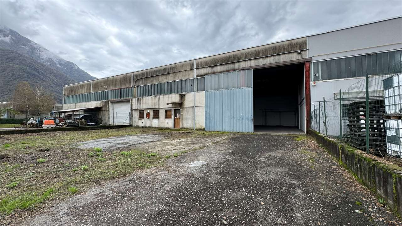 immagine annuncio 1 di 10