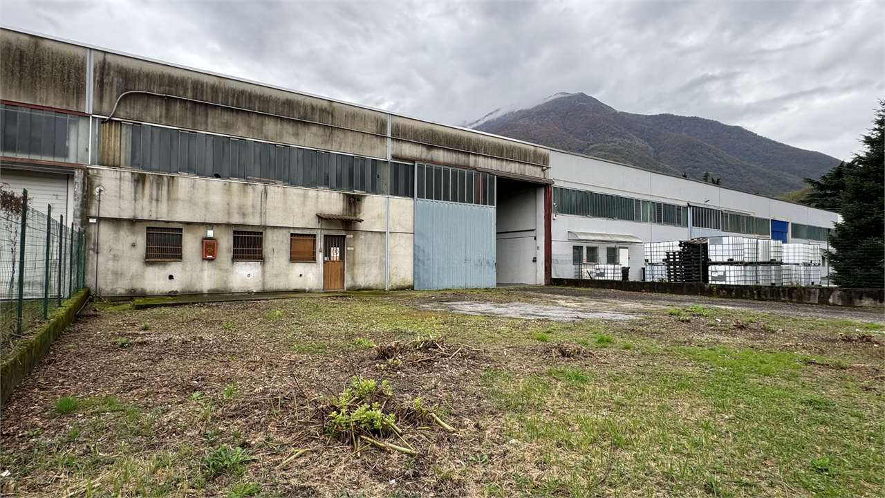 immagine annuncio 1 di 10