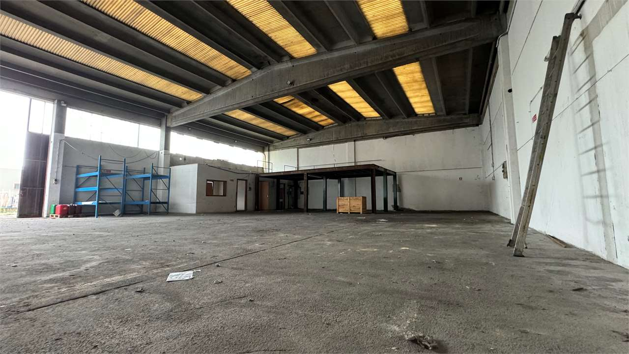 immagine annuncio 2 di 10