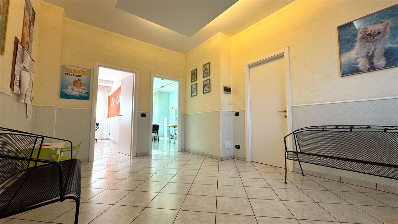 immagine annuncio 6 di 10