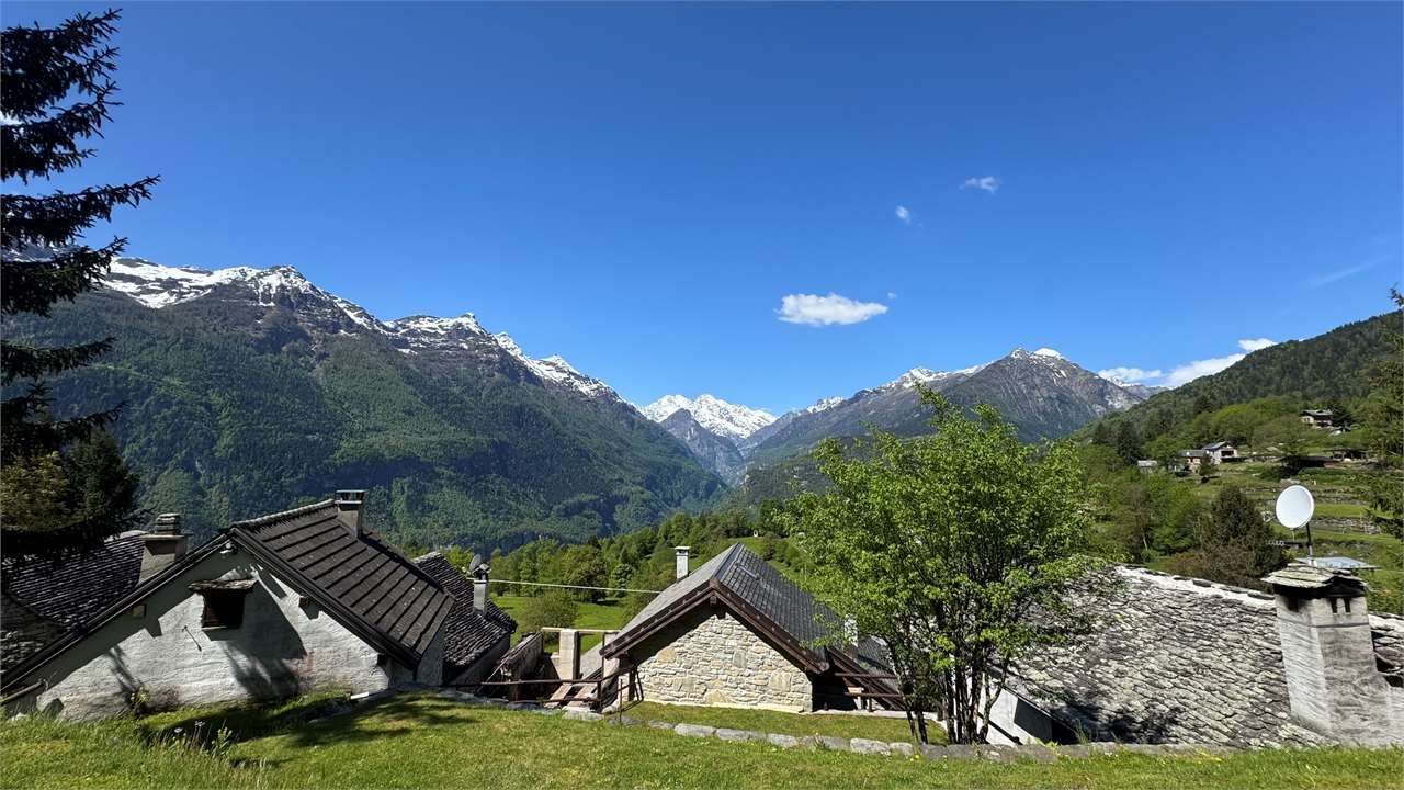 immagine annuncio 5 di 6