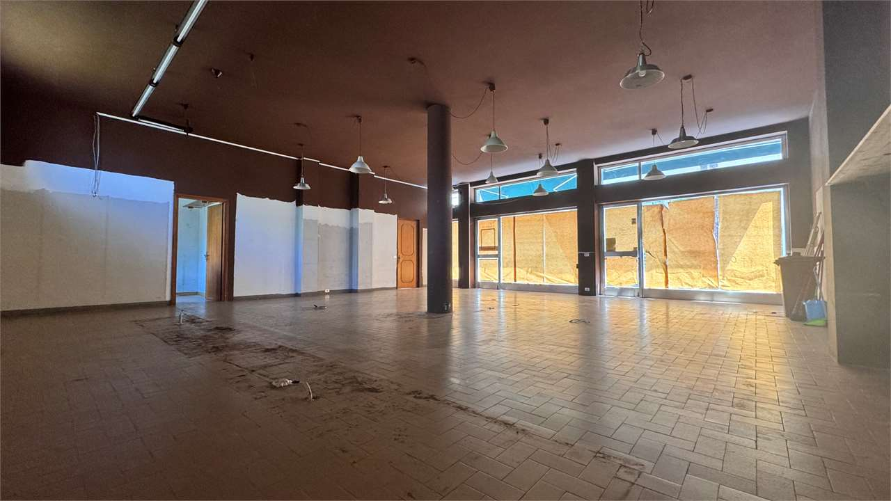 immagine annuncio 1 di 7