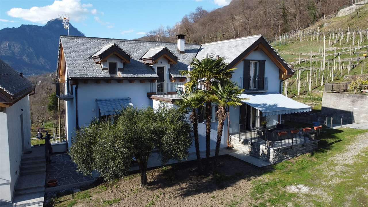 immagine annuncio 1 di 10