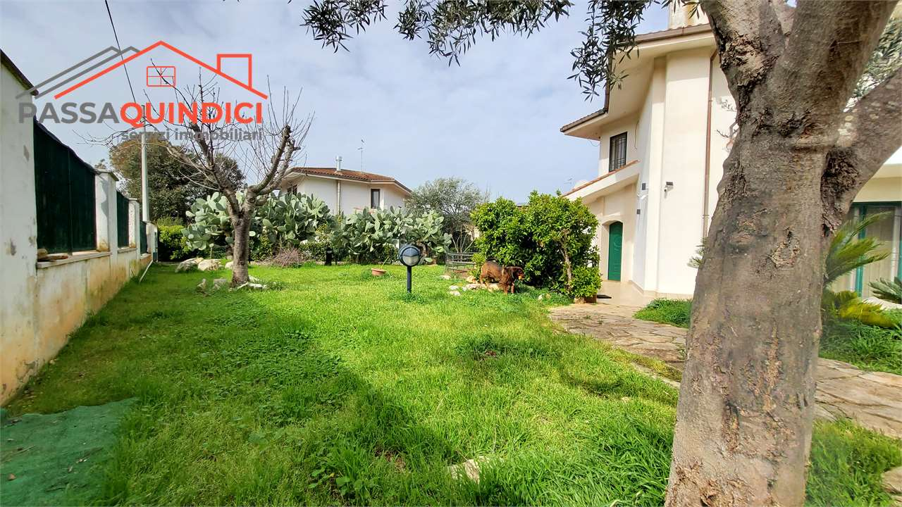 immagine annuncio 4 di 10