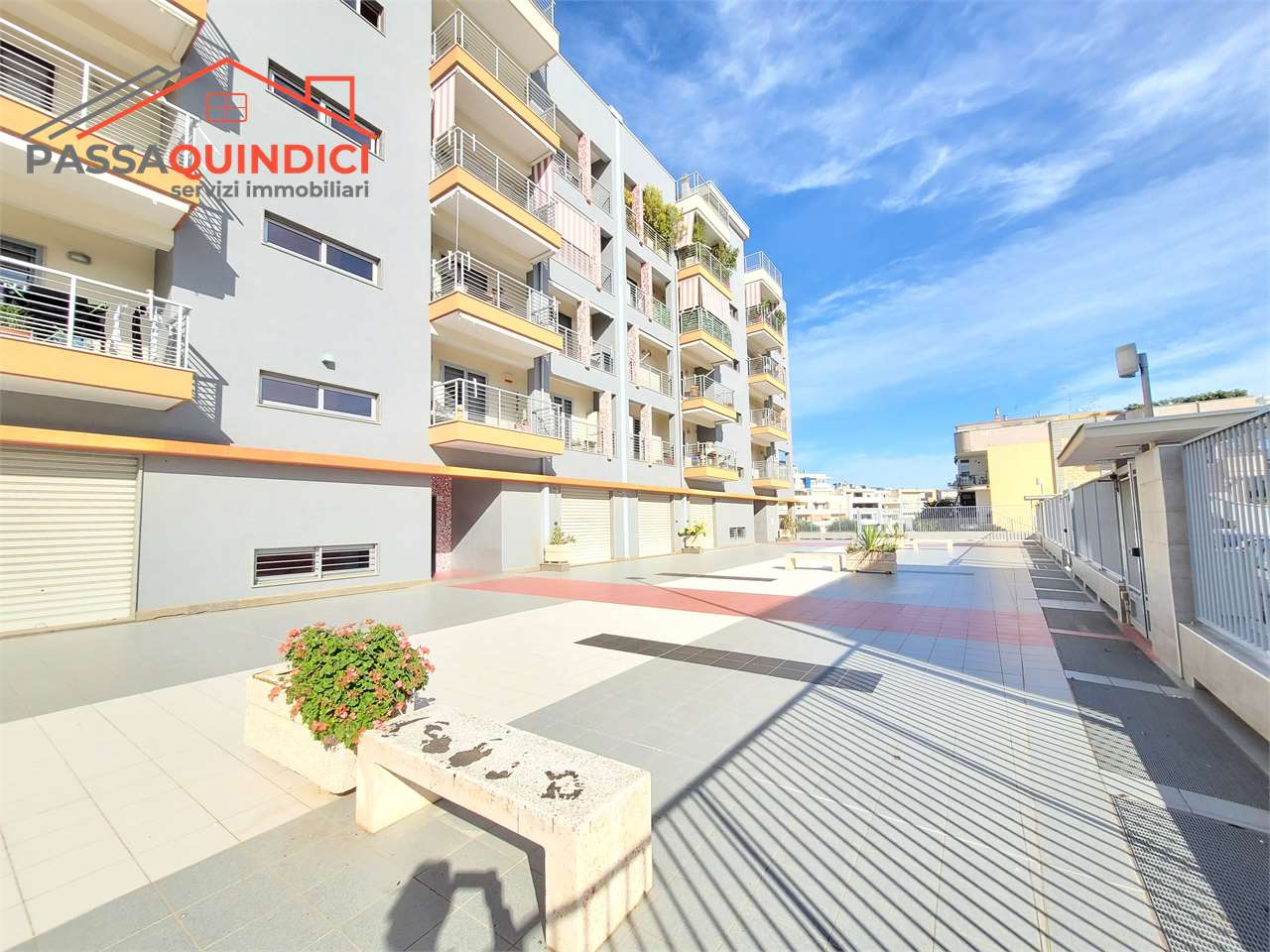 immagine annuncio 3 di 10