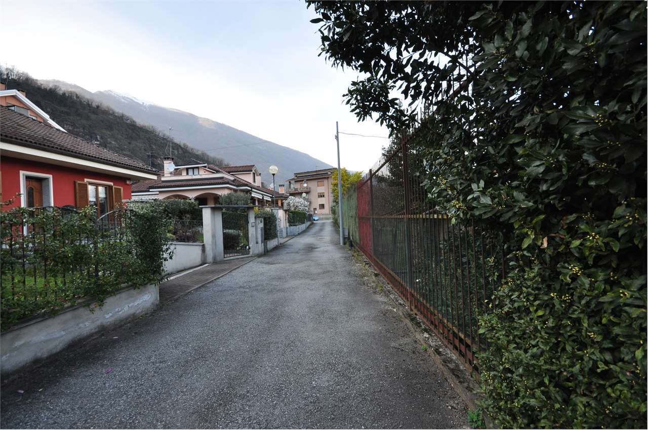 immagine annuncio 5 di 8