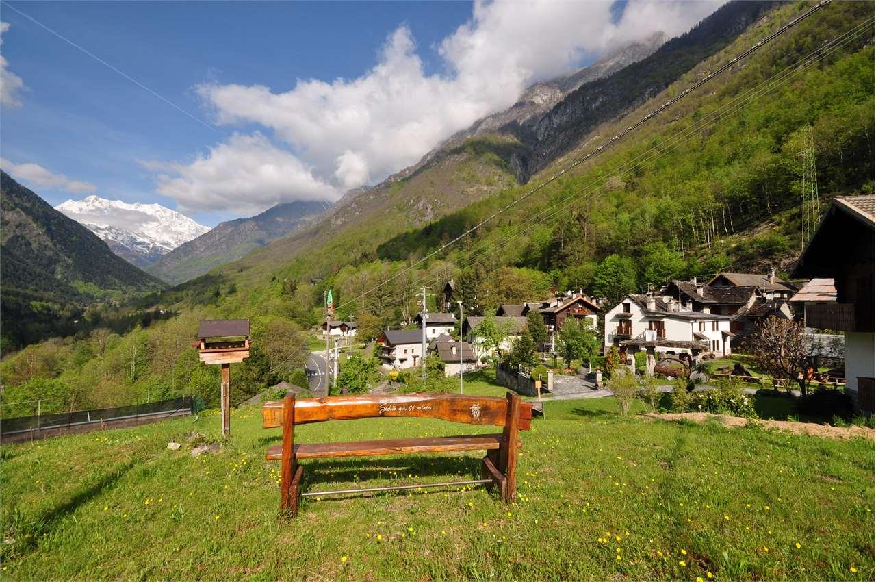 immagine annuncio 4 di 10