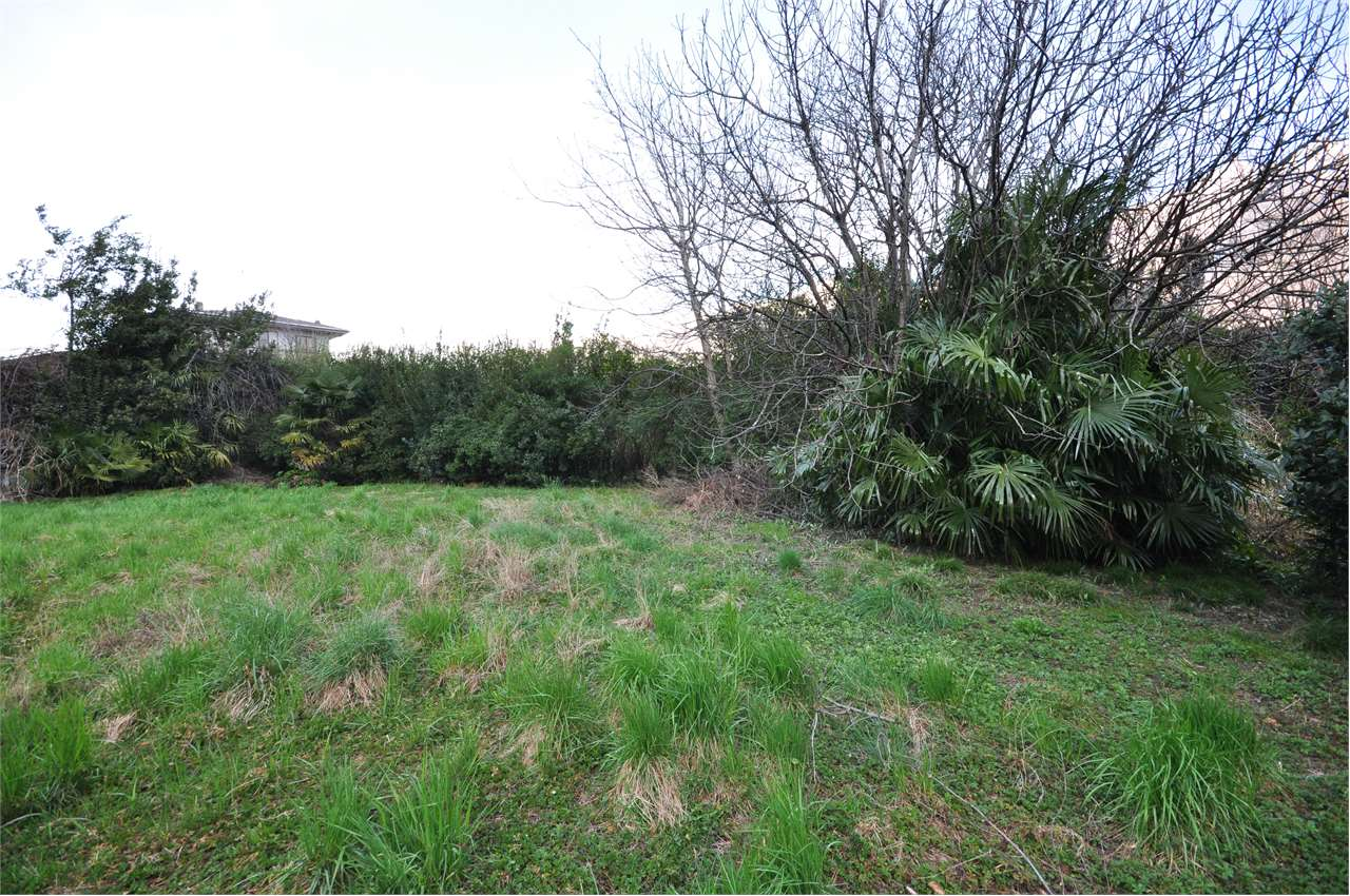 immagine annuncio 1 di 8