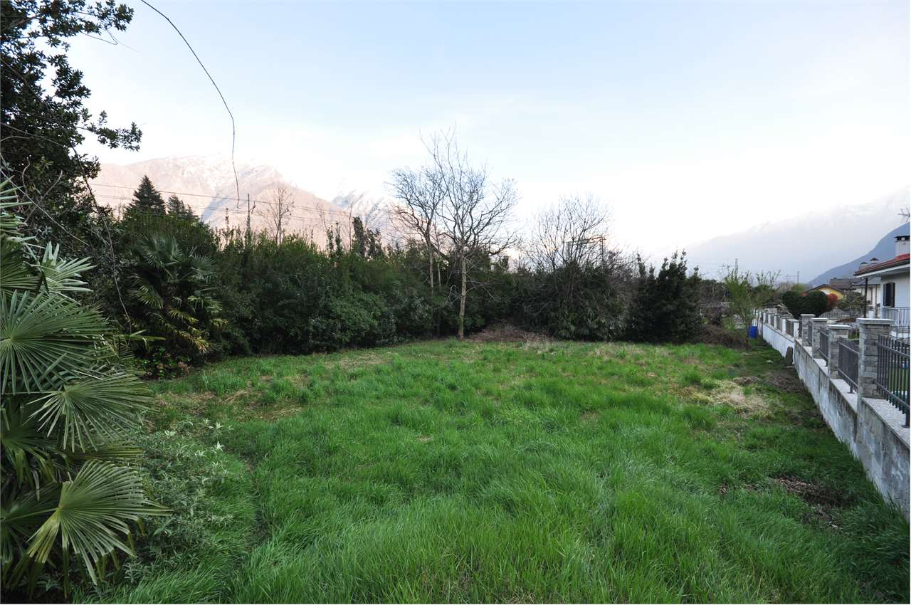 immagine annuncio 5 di 8