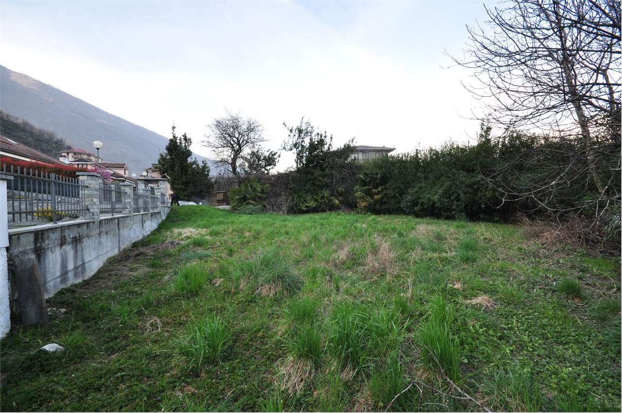 immagine annuncio 3 di 8