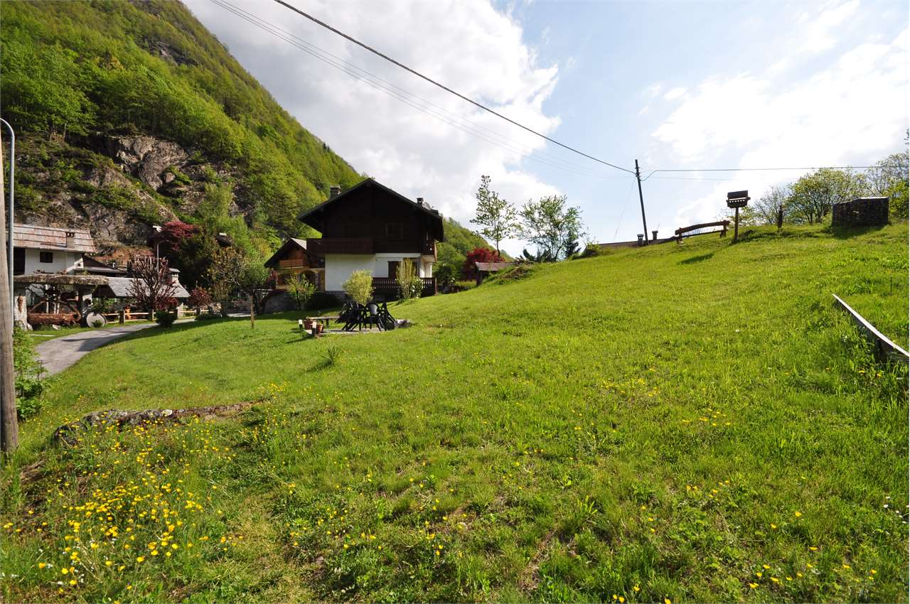 immagine annuncio 2 di 10