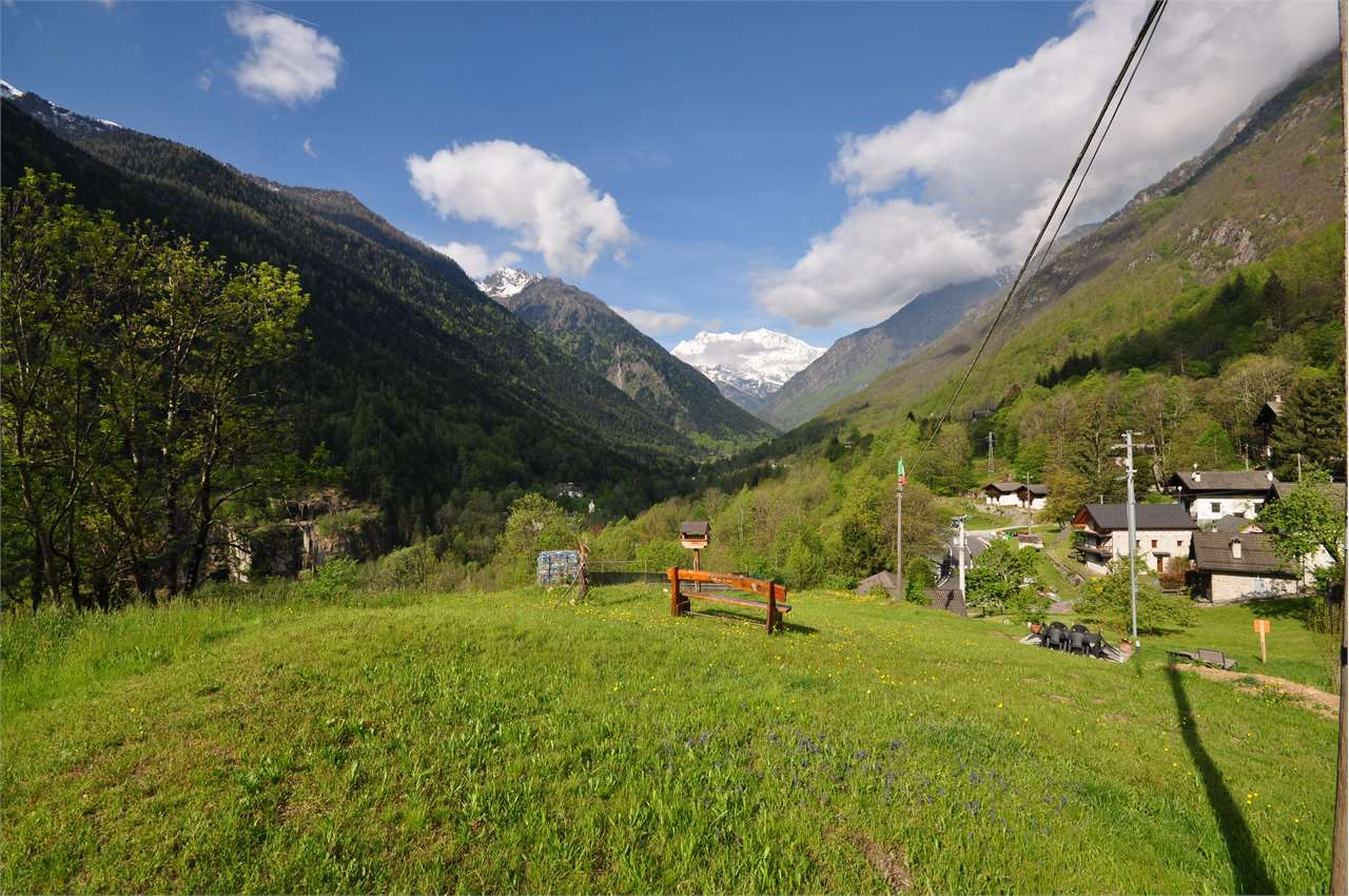 immagine annuncio 8 di 10