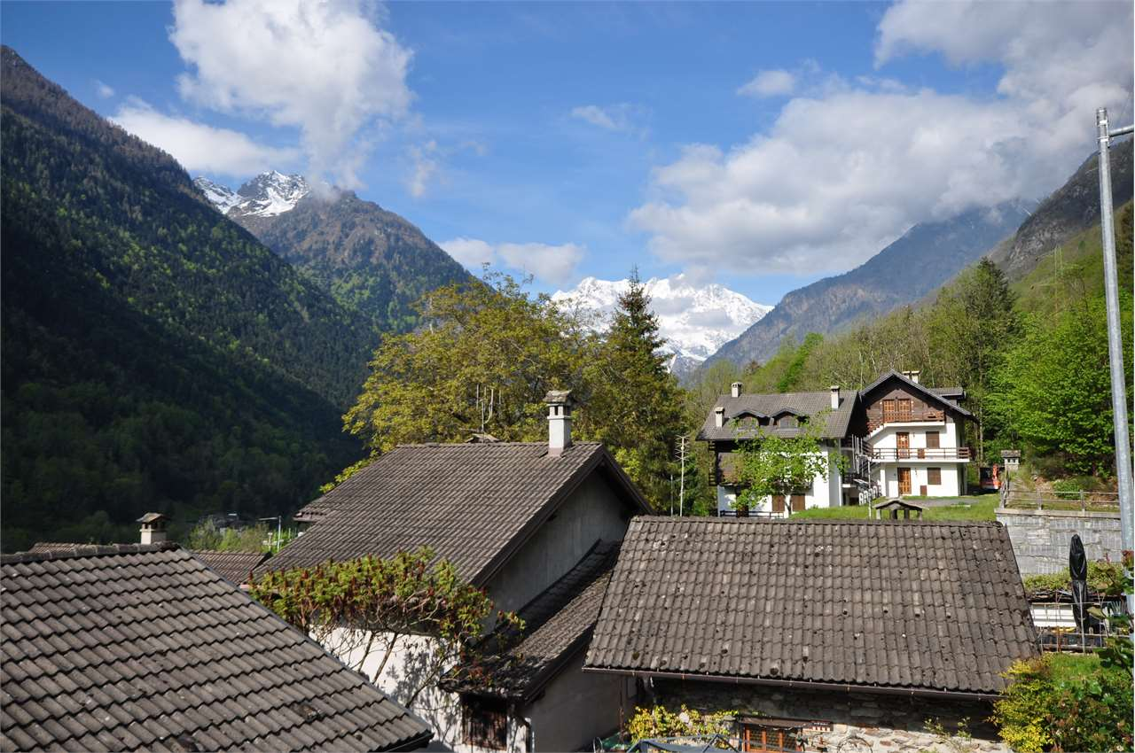 immagine annuncio 6 di 10