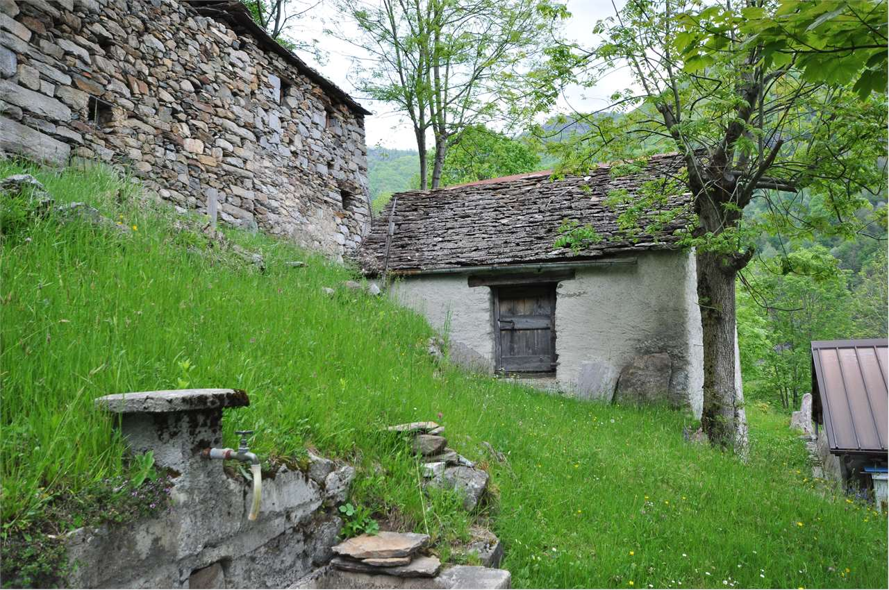 immagine annuncio 2 di 10