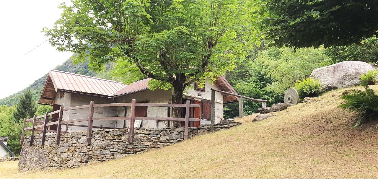 immagine annuncio 1 di 10