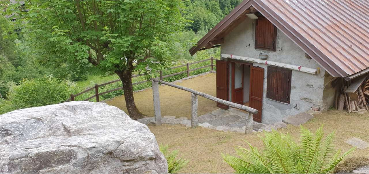 immagine annuncio 3 di 10