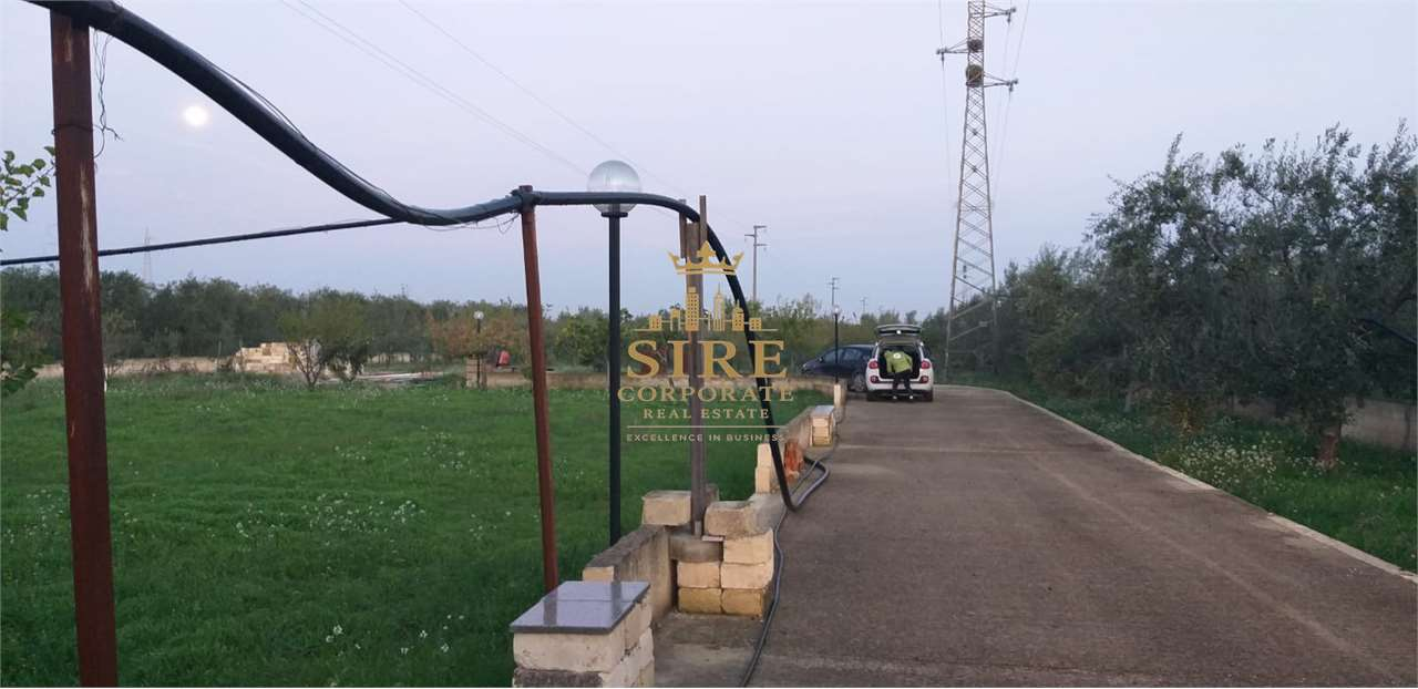 immagine annuncio 5 di 7