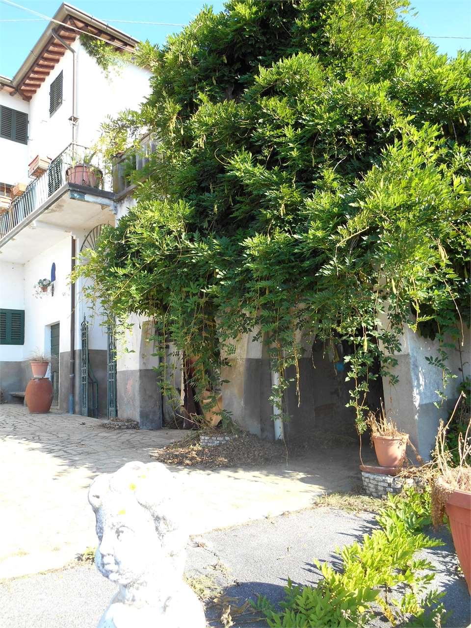 immagine annuncio 2 di 10