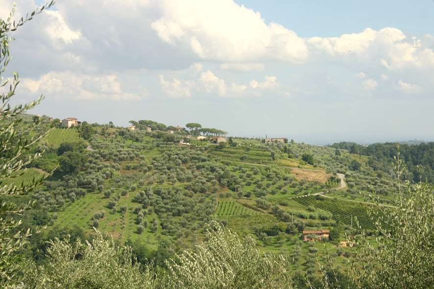 immagine annuncio 1 di 7