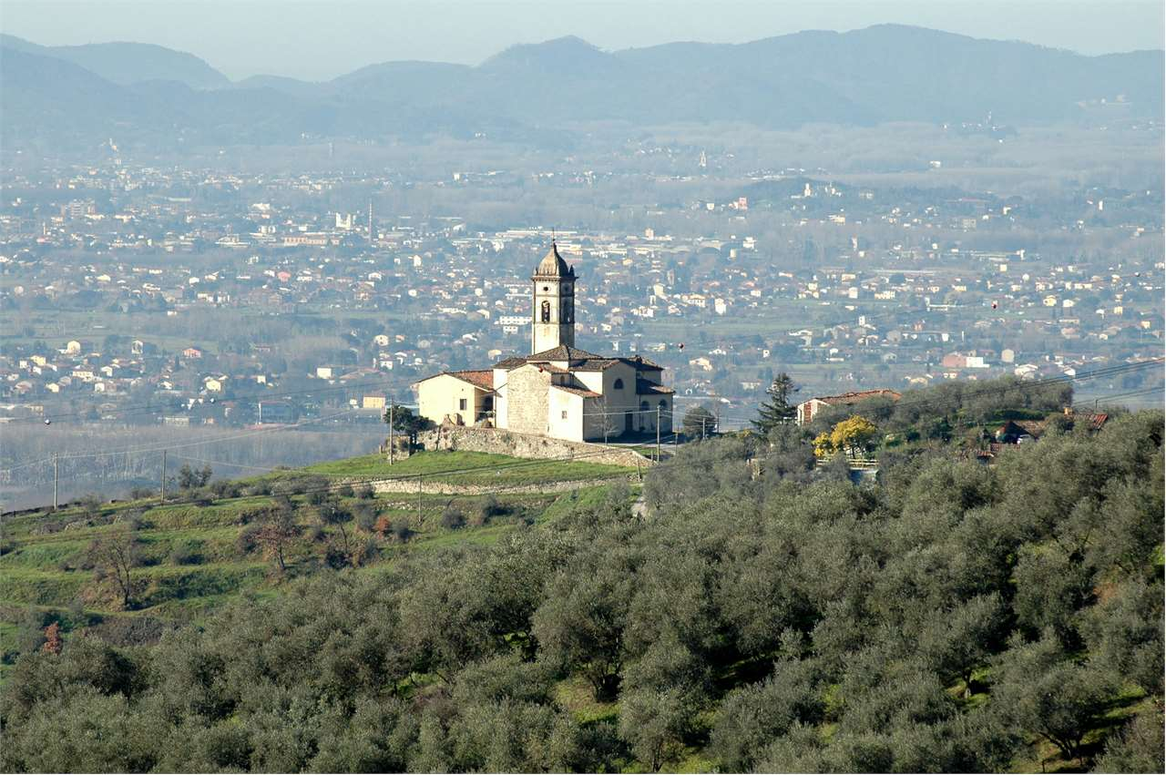 immagine annuncio 3 di 7