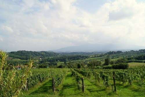 immagine annuncio 2 di 7