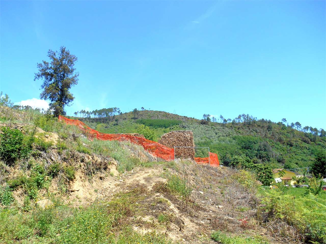 immagine annuncio 7 di 10