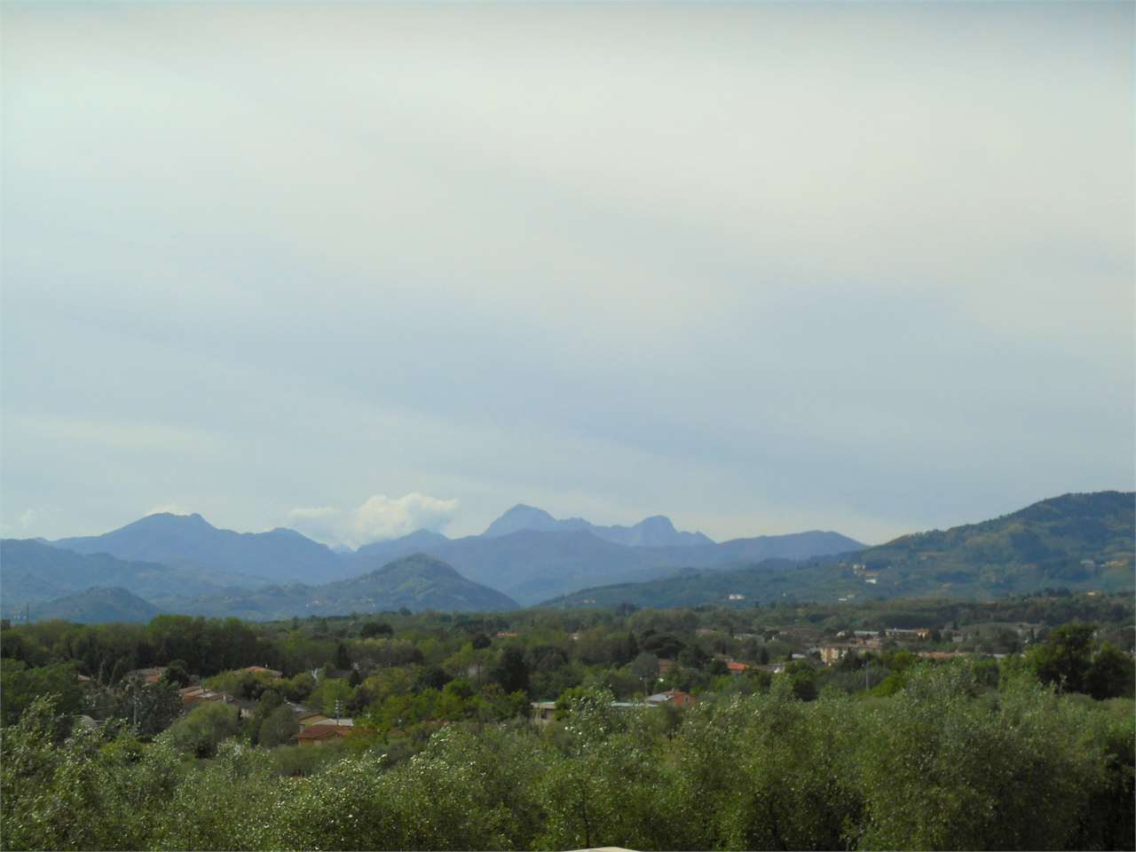 immagine annuncio 2 di 6