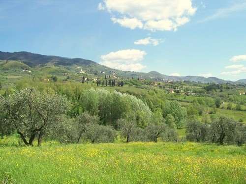 immagine annuncio 1 di 7