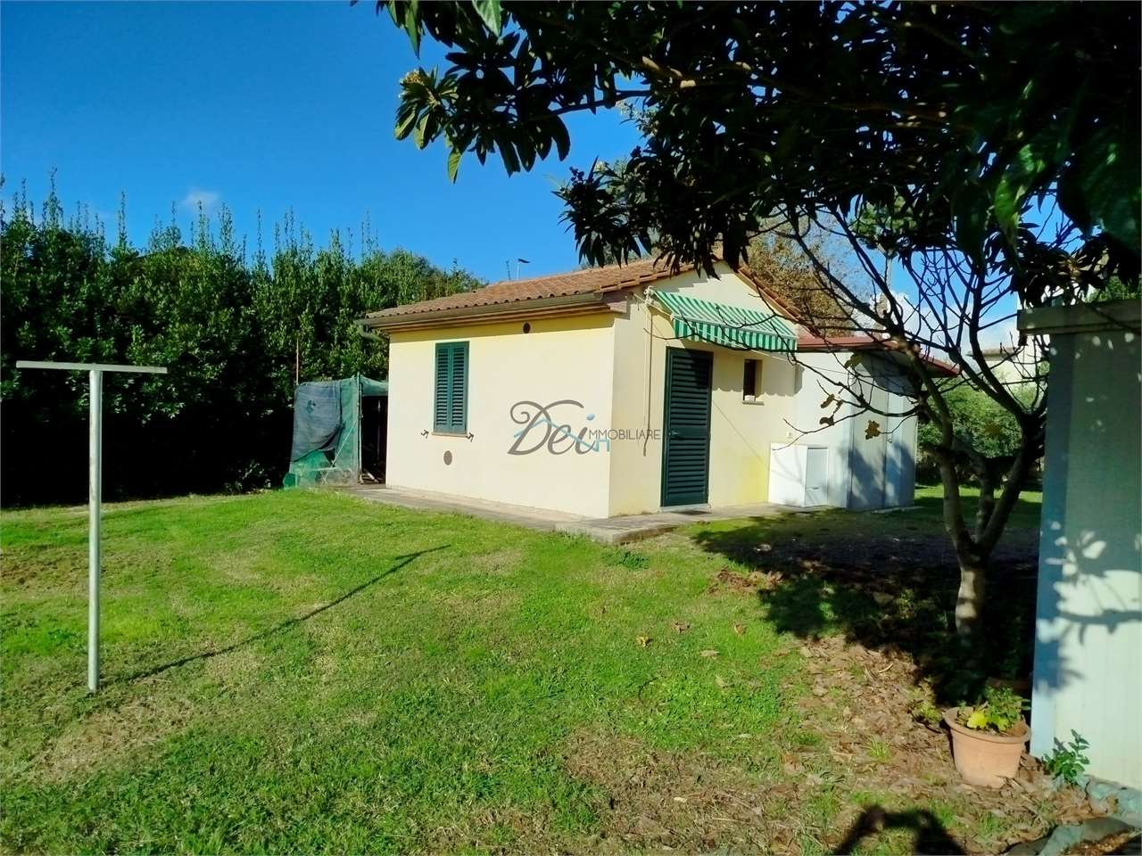 immagine annuncio 5 di 10