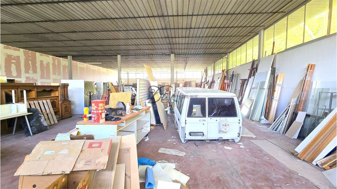 immagine annuncio 1 di 7