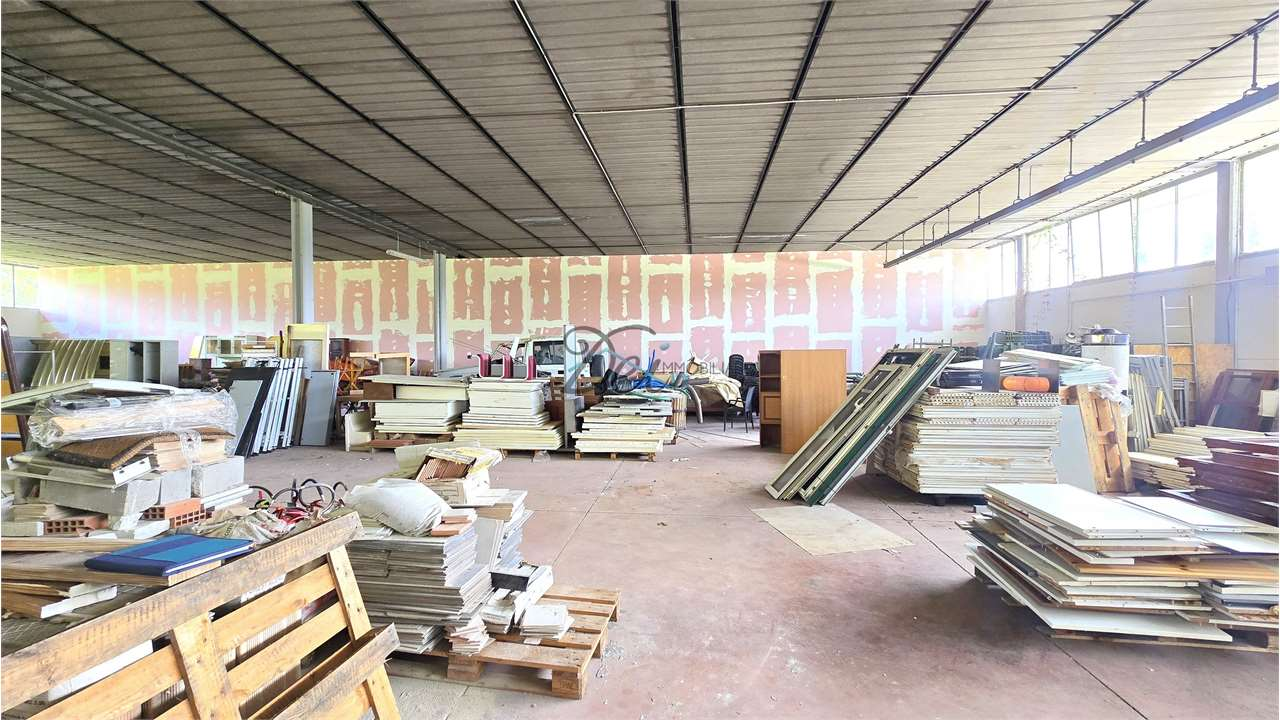 immagine annuncio 2 di 7