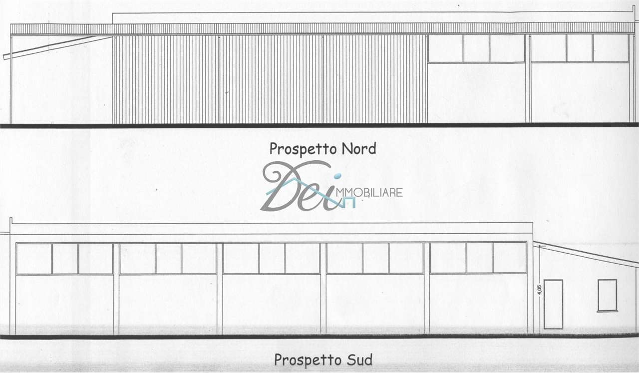 immagine annuncio 5 di 7