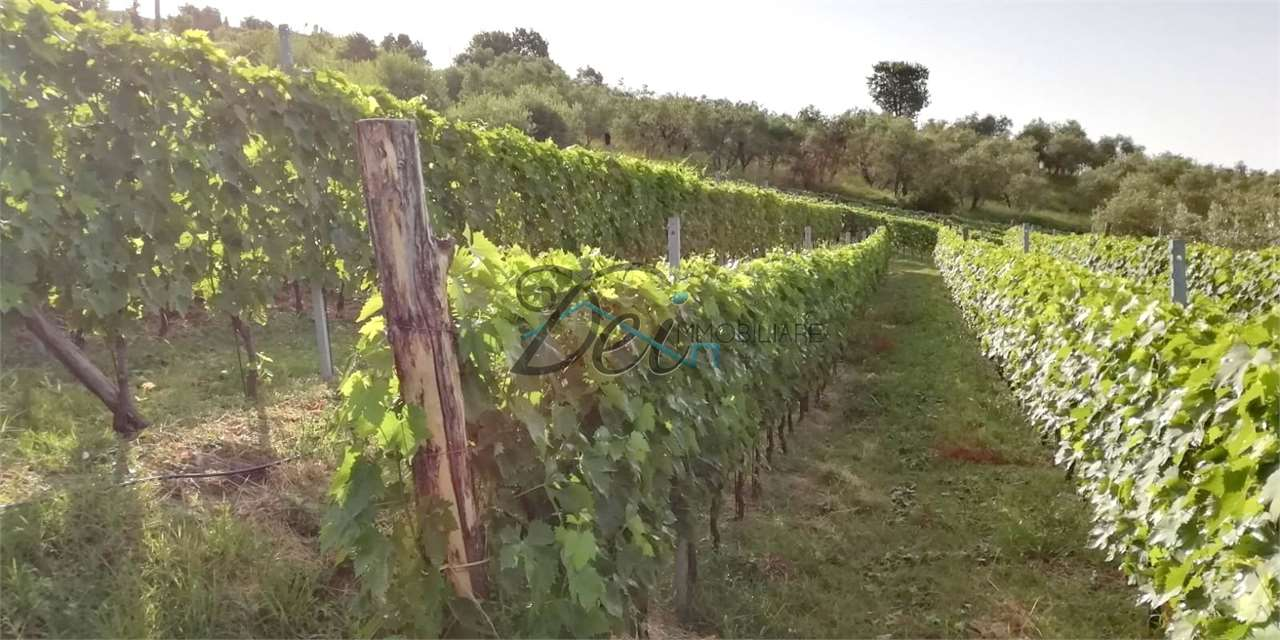 immagine annuncio 1 di 7