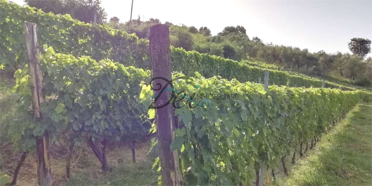 immagine annuncio 6 di 7