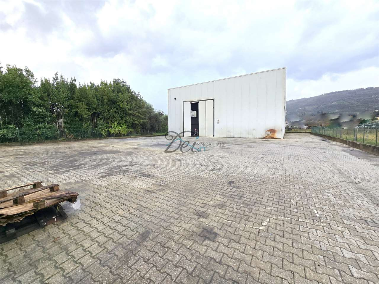 immagine annuncio 2 di 10