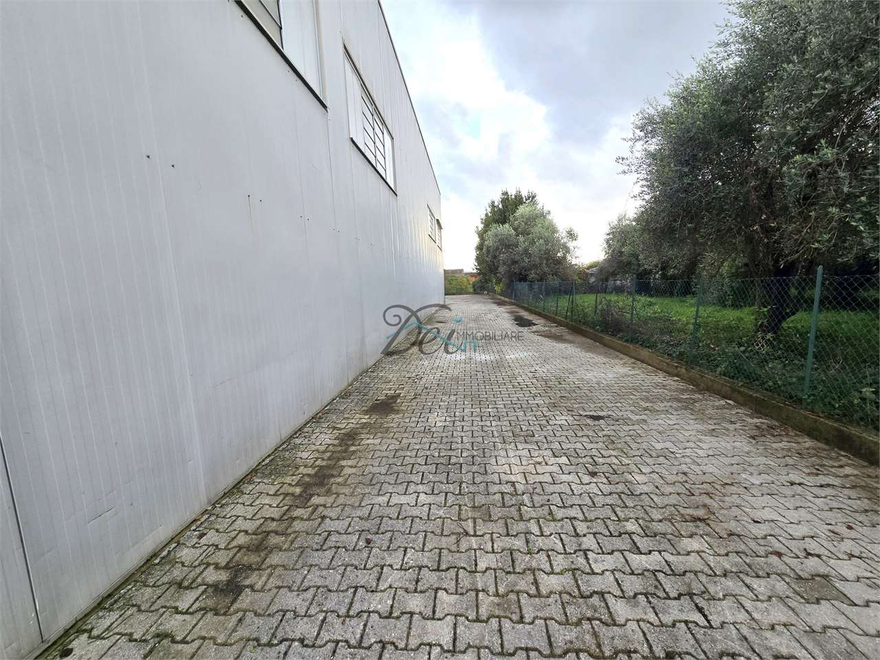 immagine annuncio 9 di 10