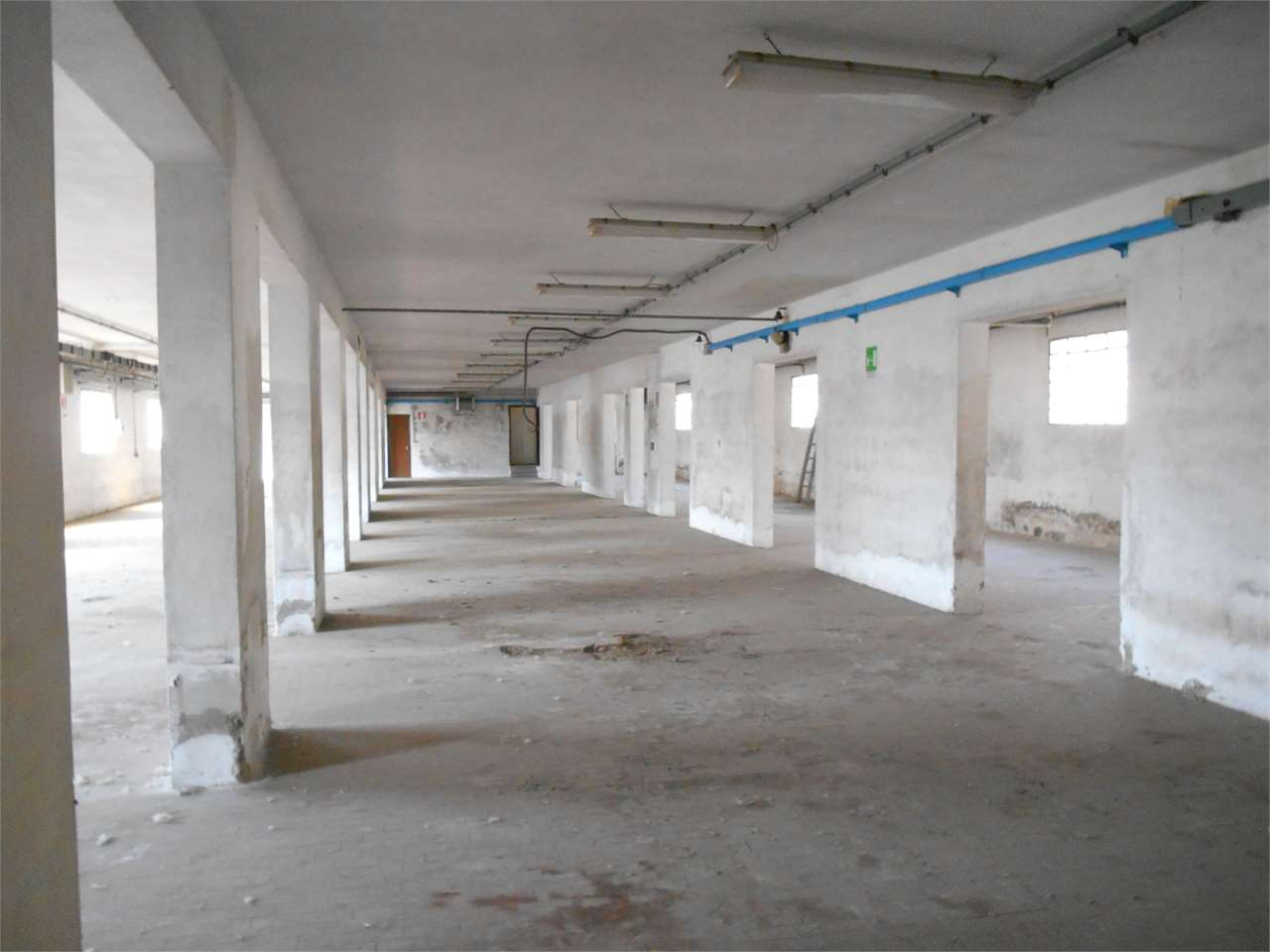 immagine annuncio 3 di 9